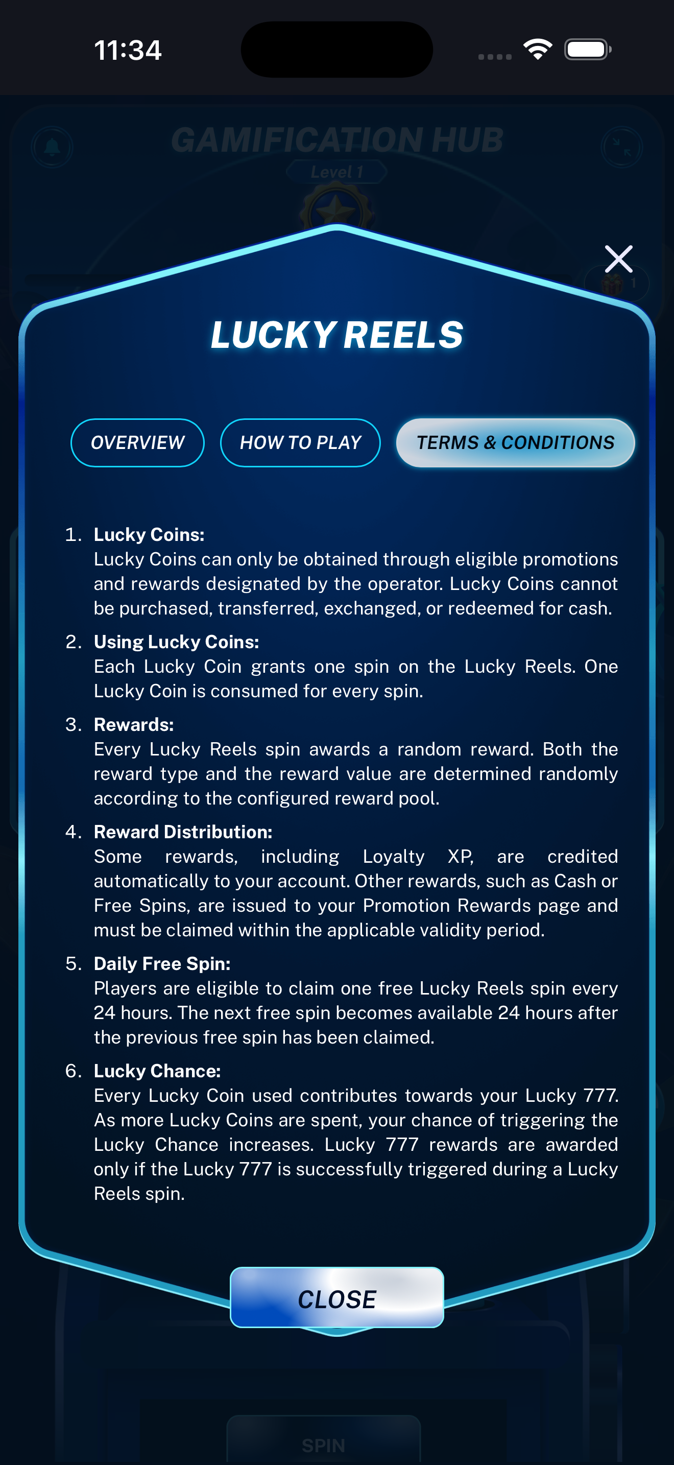 Lucky Reels terms and conditions displayed on a mobile phone